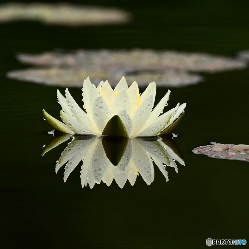 花蓮の水面鏡