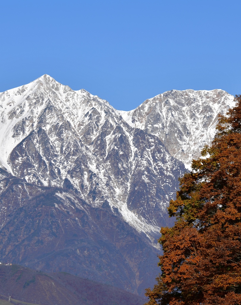 白馬鑓ヶ岳と杓子岳