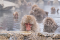 うたた寝　地獄谷にて