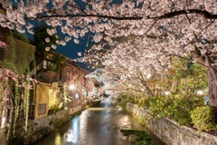 春の夜　祇園にて