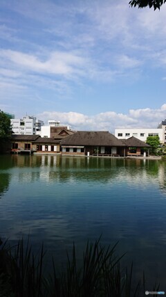 福井市養浩館