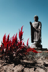 牛久大仏と赤い草