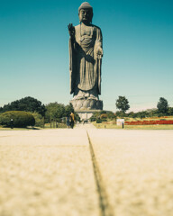 牛久大仏
