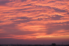 久しぶりの茜空