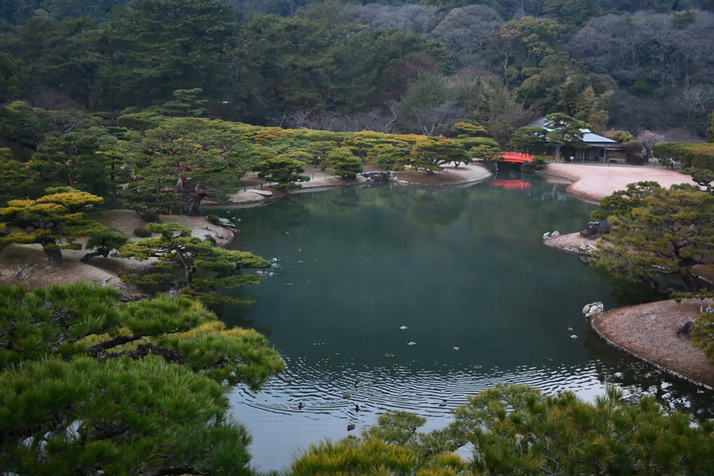 胎動
