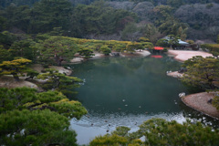 胎動