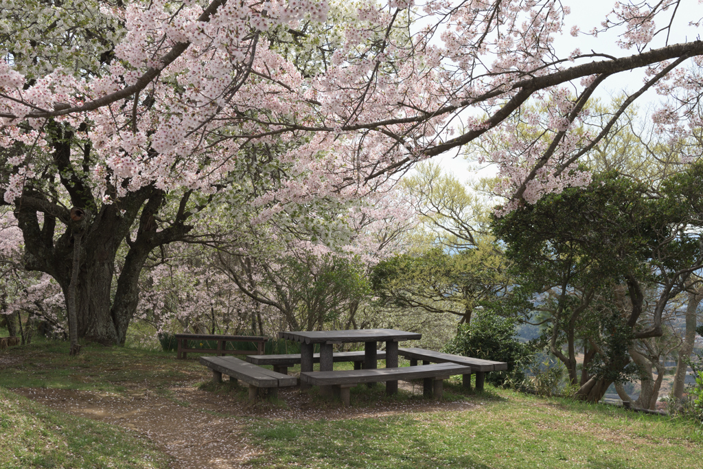 日守山寸景４