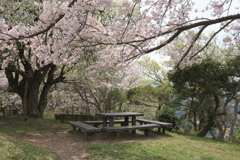日守山寸景４