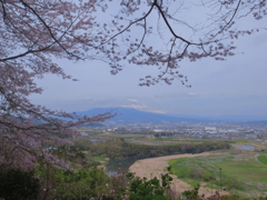 穏やかな日差し