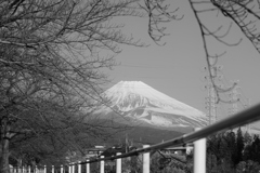 春遠からじ