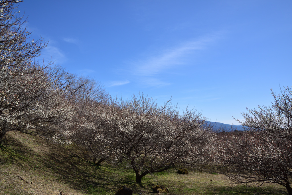 空を支える