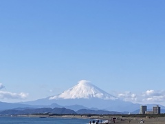 明けましておめでとうございます✨