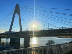 朝