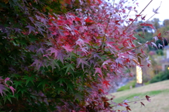 秋2