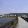 宇治橋の春