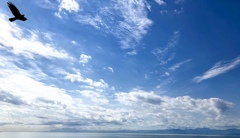 意思を持っている雲の群