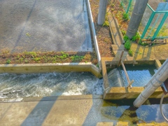 こんな風景が必要、用水路
