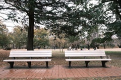 野川公園の秋4