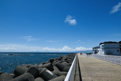 陸と海と空と