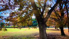 ファンタジーな公園