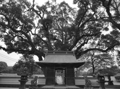 鬼滅　溝口竈門神社（筑後市）