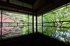 瑠璃光院