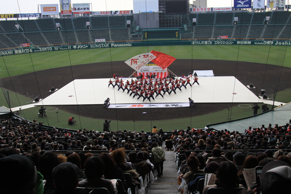 初めて甲子園に行った理由が「野球」ではなく「よさこい」だった件について