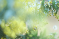 34B96692-9D23-4BF5-BD55-14C44FAB9E68