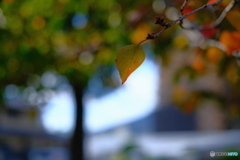 2B78EA9E-2C3C-41A9-98F8-2947B549D84D