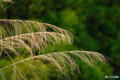 67643AE5-45B0-4591-AF1D-1EF554601EF3