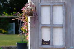 0BEC6530-8A3D-4A71-89FE-07C23AB41062