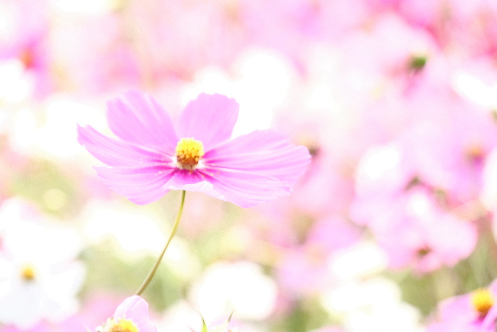 AF8C0C34-374D-4374-BCBF-3914EAA24359