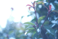 真っ白だった朝