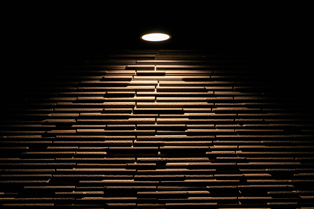α7Ⅱ試写(4/4)