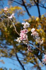 まだ頑張ります。