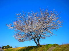 お天気に誘われて①