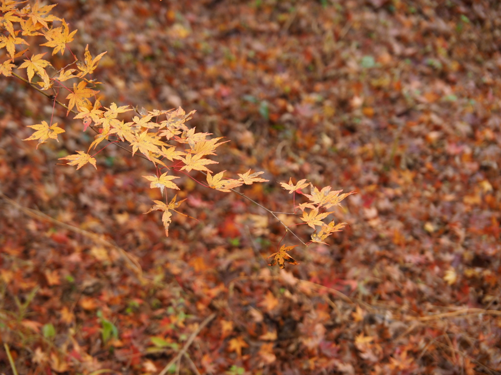 終了していました。