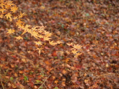 終了していました。