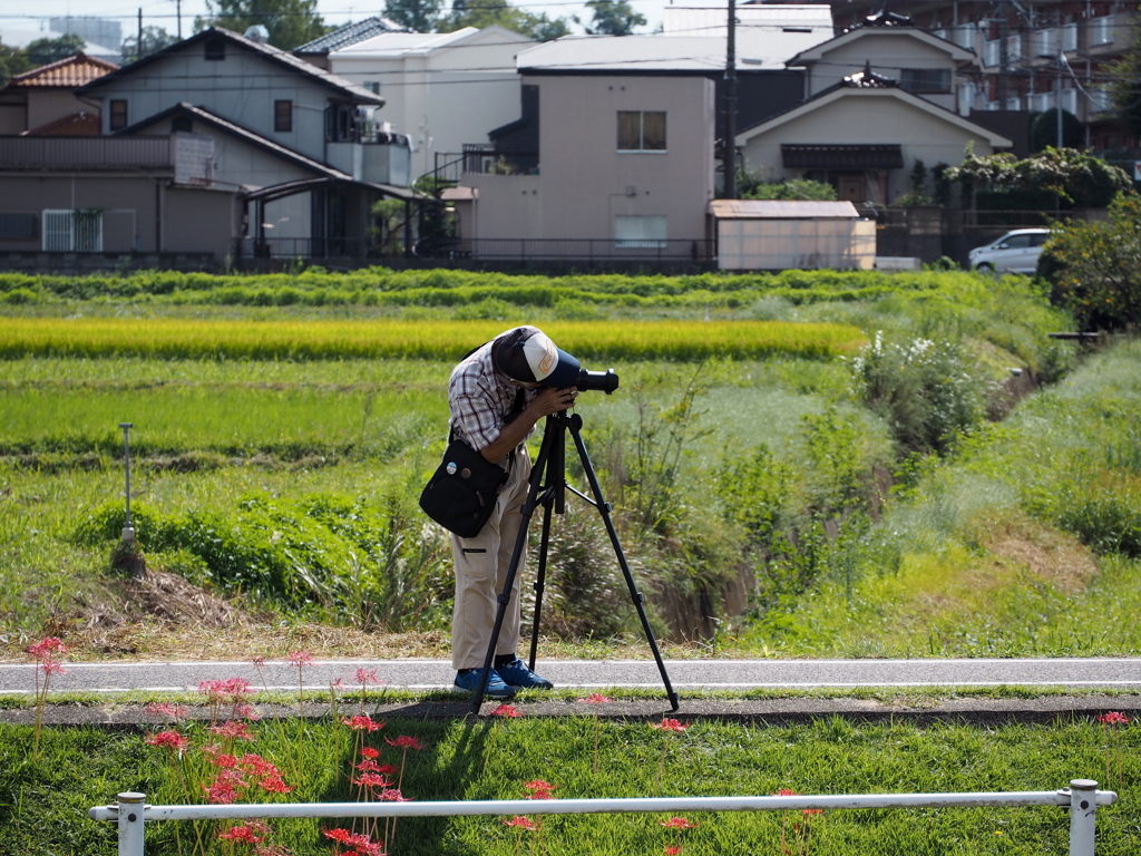 今が盛りとフォトグラファー5