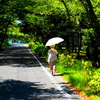 お散歩気を付けて