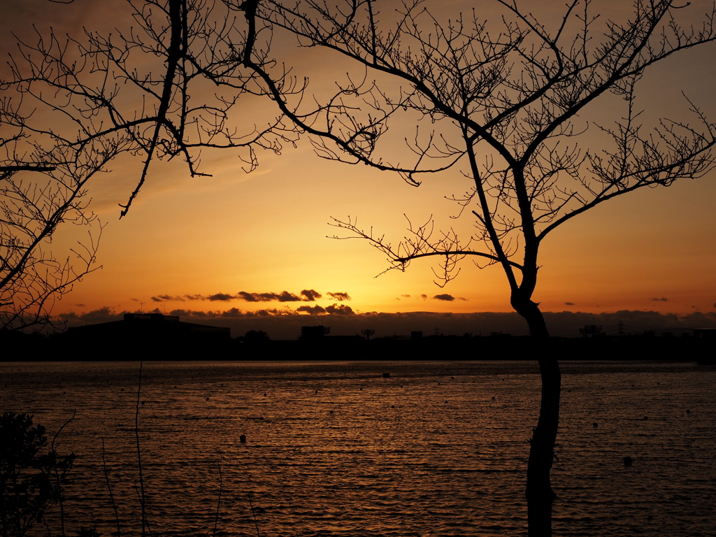 夕陽