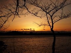夕陽