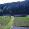 田舎の光景