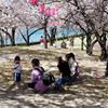 桜の下。