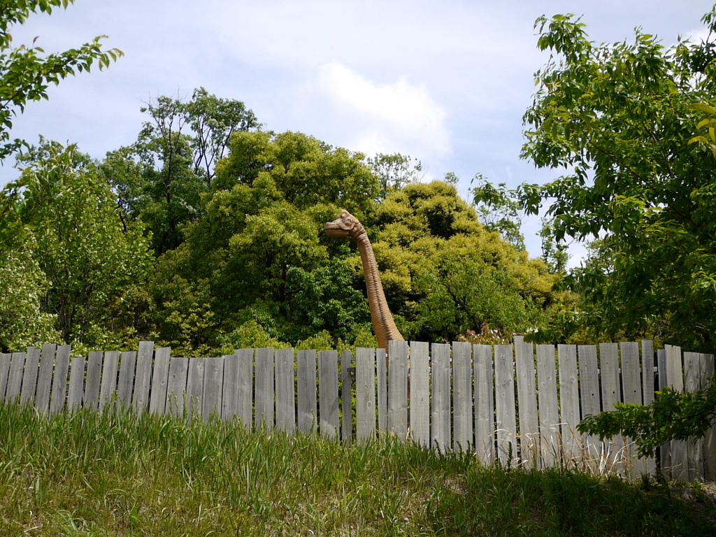 超えてこないでね。