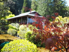 奥殿陣屋続編４