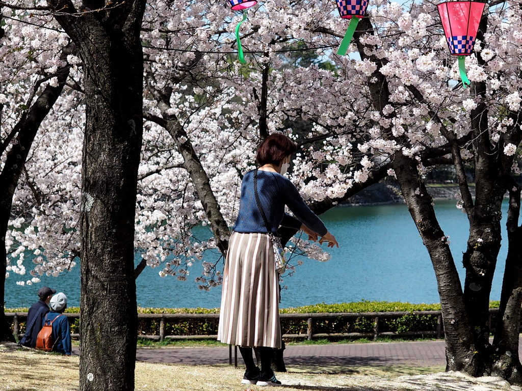 撮影の女性。