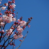 今年もお世話になります。