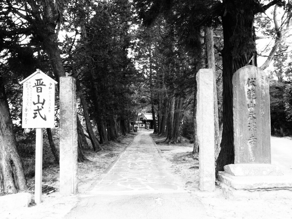 永沢寺さん。