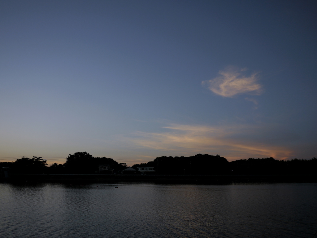三好池夕景